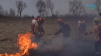 Красноярский Губернатор назвал тушение пожаров бессмысленным. СИБИРЬ ГОРИТ!