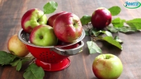 Правда ли, что «по яблоку в день - и не надо врачей?»