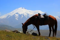 Организация конного туризма в условиях высокогорного рельефа